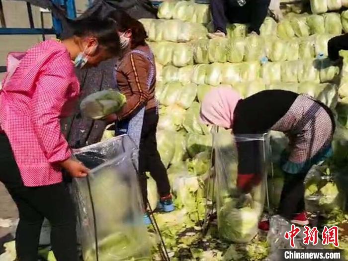 兰州促废弃物资源化利用年“吞”33万吨尾菜